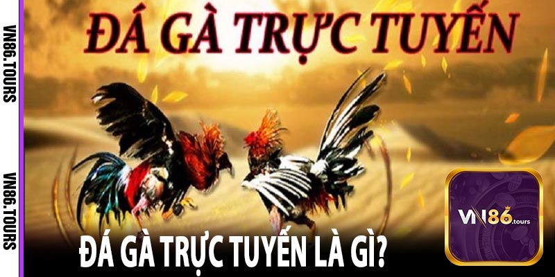 Đá gà trực tuyến là gì?