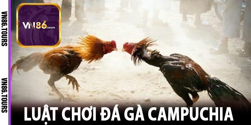 Luật chơi đá gà Campuchia