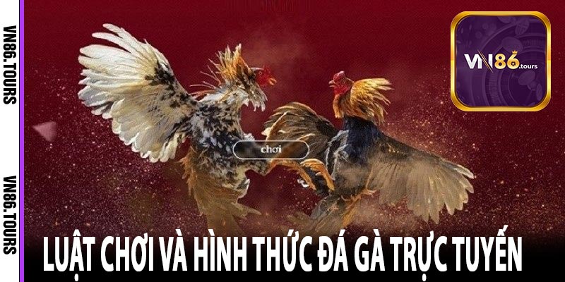 Luật chơi và hình thức đá gà trực tuyến