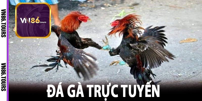 đá gà trực tuyến